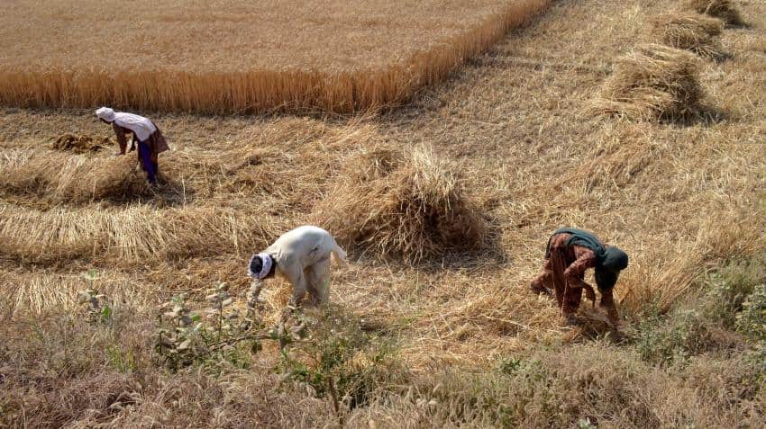 On Day 2 of farmers&#039; strike, shortages pinch Maharashtra