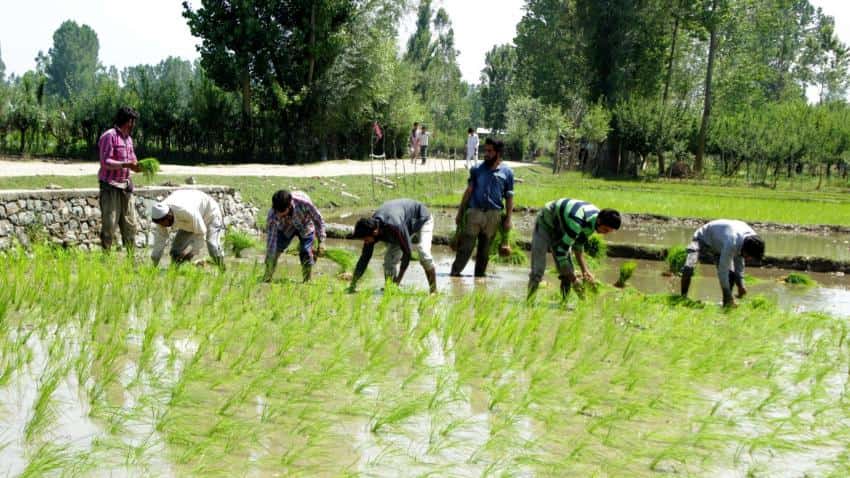 Maharashtra&#039;s farm loan waiver to worsen its fiscal deficit 