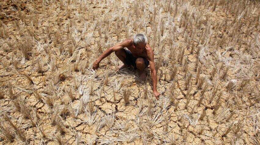 Is farm loan waiver impact on Indian economy overestimated? 
