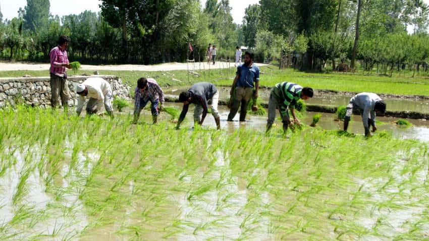 Panel demands accountability for delay over farm loan waivers
