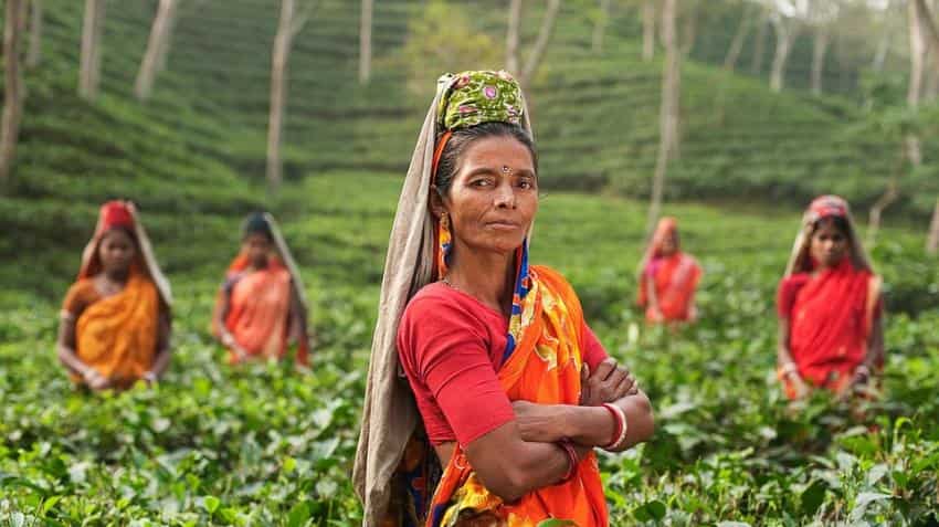 30% agriculture budget to be spent on women farmers