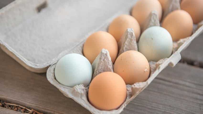 Why prices of eggs have reached new highs of Rs 7 apiece