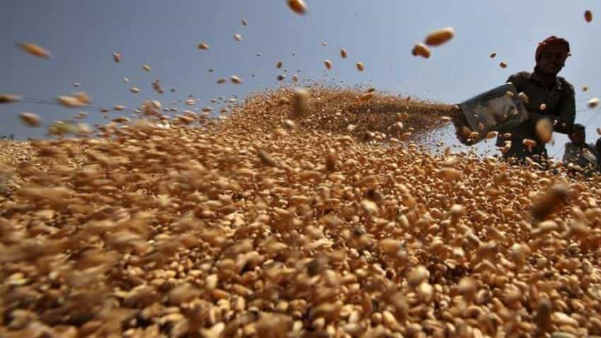 India&#039;s wheat, pulses output seen rising, to curb imports
