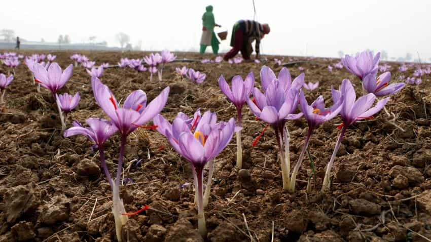 Microsoft AI helping Indian farmers increase crop yields