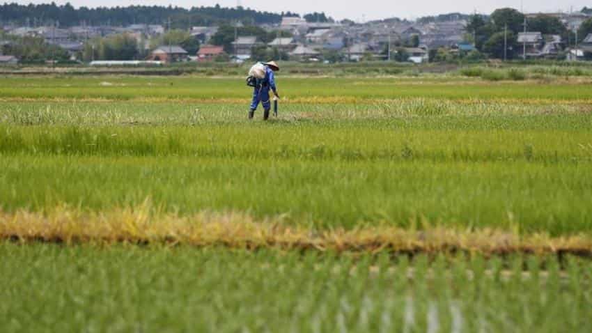Centre moots new price support scheme to fix rural distress Centre moots new price support scheme to fix rural distress
