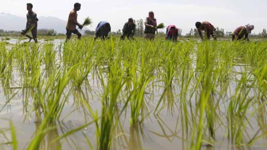 Rural India stares at Union Budget Rural India stares at Union Budget
