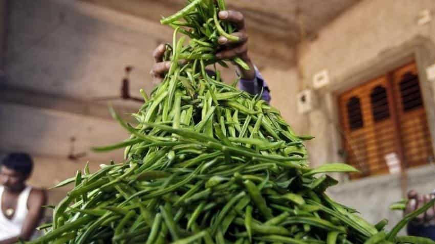 FM launches options trading in guarseed; says will benefit farmers FM launches options trading in guarseed; says will benefit farmers