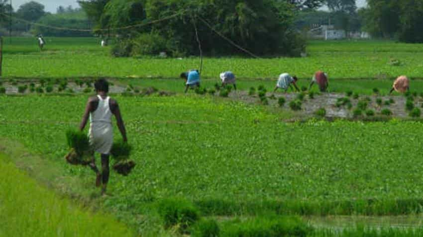 Budget 2018: Farm output, farmers&#039; income get priority