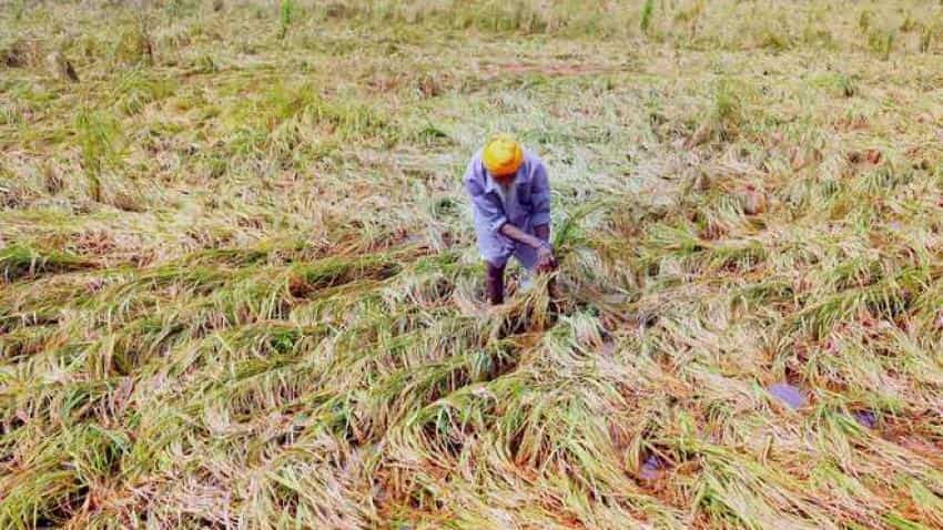 Rabi crops sowing crosses 632 lakh hactare in 2017-18