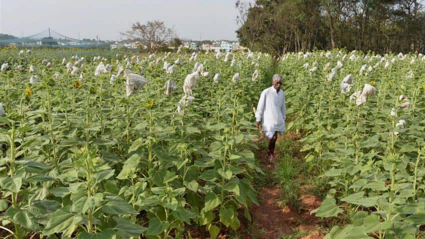 Govt mulling Rs 500cr market assurance scheme to help farmers