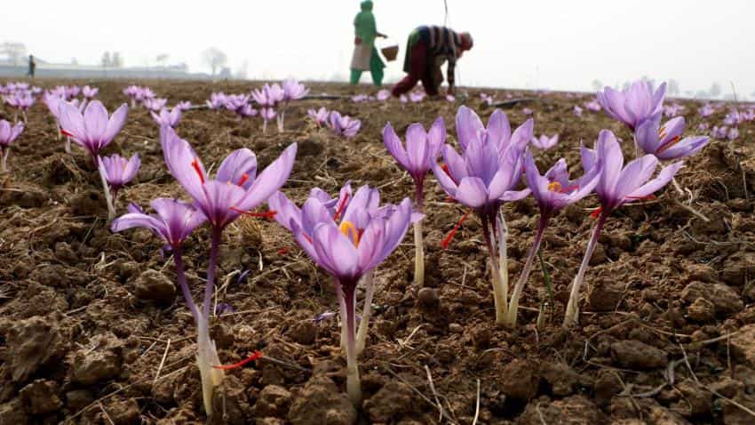Farmers' incomes have declined 1.38% since 2014: Yashwant Sinha Farmers' incomes have declined 1.38% since 2014: Yashwant Sinha