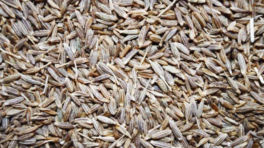 Jeera futures edge higher on rising demand Jeera futures edge higher on rising demand