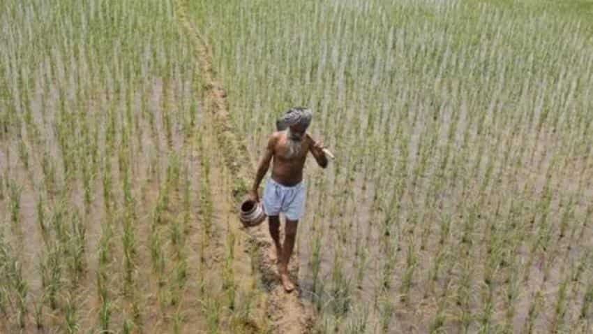 Crop insurance scheme: PM Narendra Modi government`s flagship plan loses sheen, sees negative growth as coverage area reduces Crop insurance scheme: PM Narendra Modi government`s flagship plan loses sheen, sees negative growth as coverage area reduces