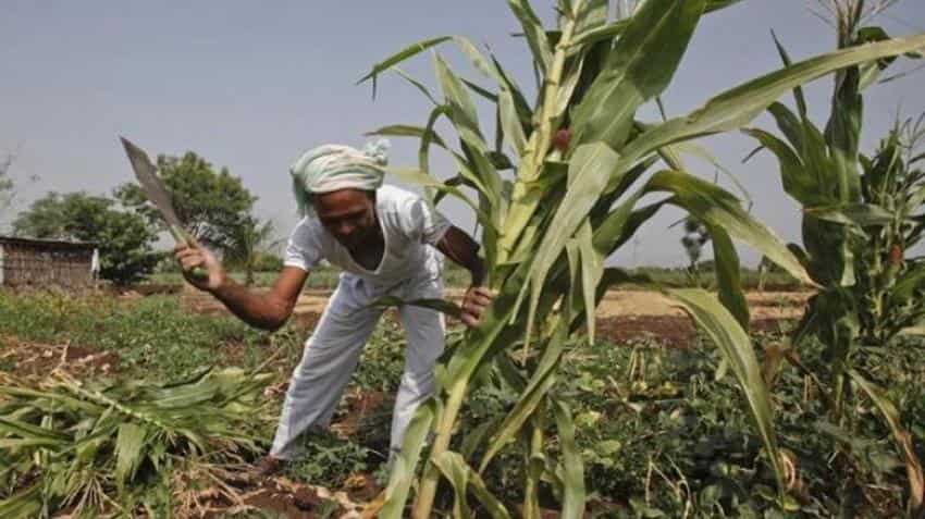 India needs robust exports, investment growth to achieve 8% growth, says ADB economist India needs robust exports, investment growth to achieve 8% growth, says ADB economist