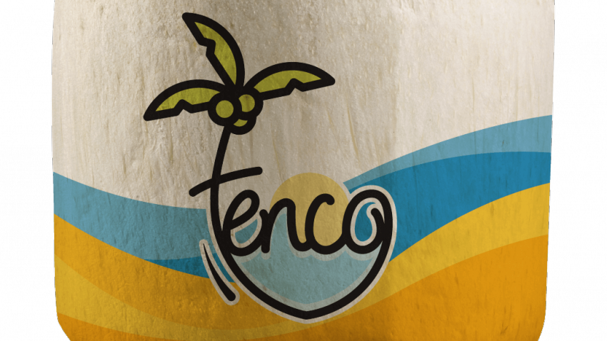 From Accenture to Tender Coconut, the story of Tenco Foods
