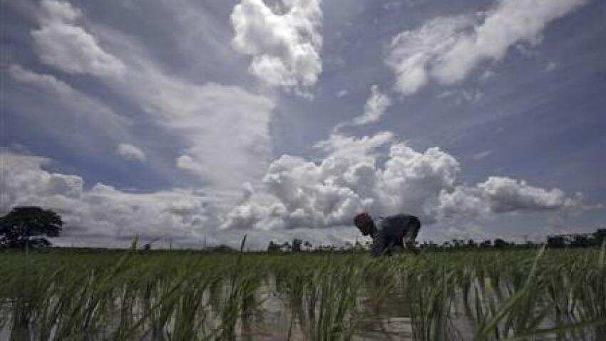 Why is the monsoon crucial for India, PM Narendra Modi explained Why is the monsoon crucial for India, PM Narendra Modi explained