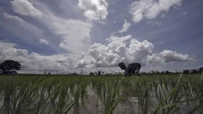 Skymet forecast: Good monsoon for central region, low in east, northeast and south