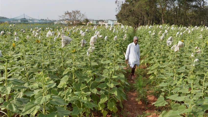 Rs 12,000 cr farmers' financial assistance scheme from May 10 in Telangana Rs 12,000 cr farmers' financial assistance scheme from May 10 in Telangana