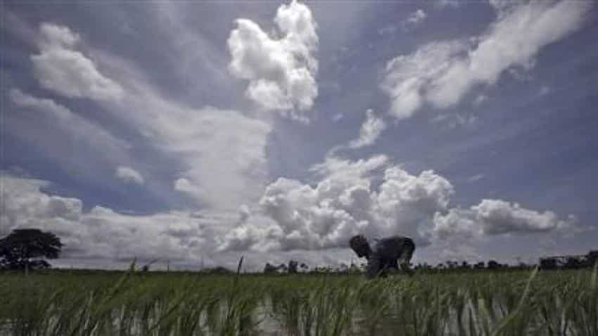 IMD forecast boost: Monsoon in India yet to arrive, but rain linked stocks skyrocket