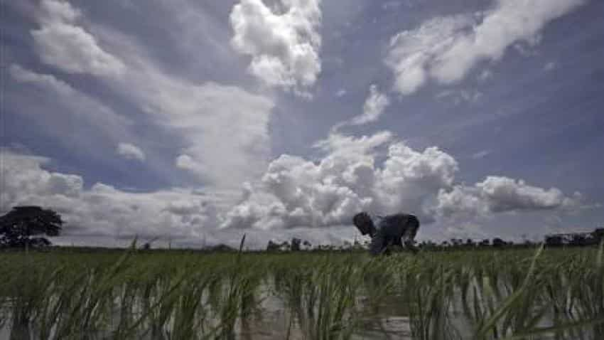 IMD Monsoon forecast: Will it lift your stock market fortunes?