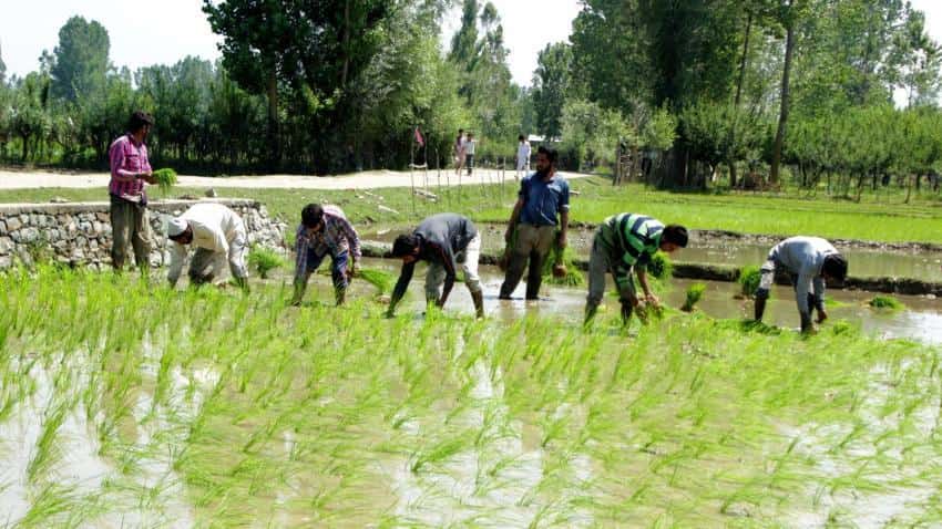 Doubling farmers income by 2022 turns into big challenge; Agri-export data of 5 years shows how much 