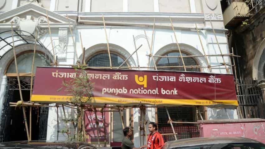 Big wilful defaulters owe PNB Rs 15,172 crore 