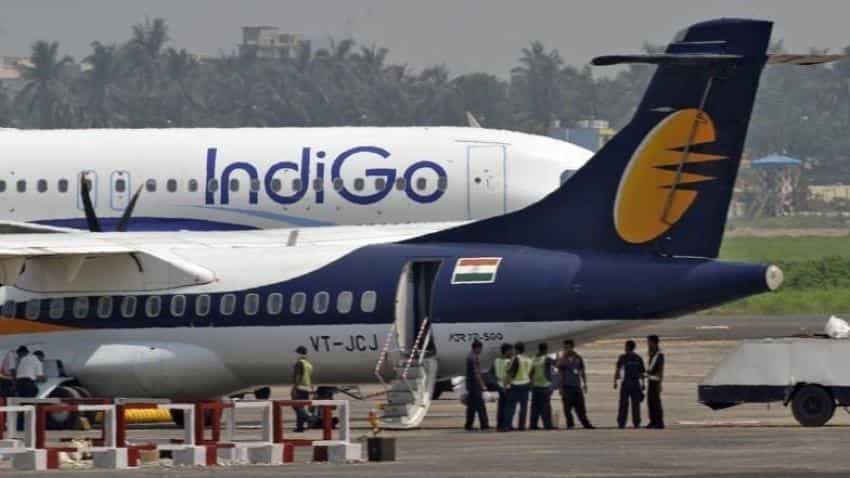 IndiGo to fight mosquito menace with swatters on board IndiGo to fight mosquito menace with swatters on board