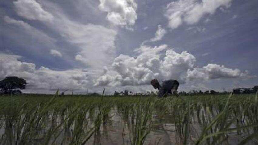 IMD, Skymet Monsoon forecast: Rains to start early; here is when IMD, Skymet Monsoon forecast: Rains to start early; here is when
