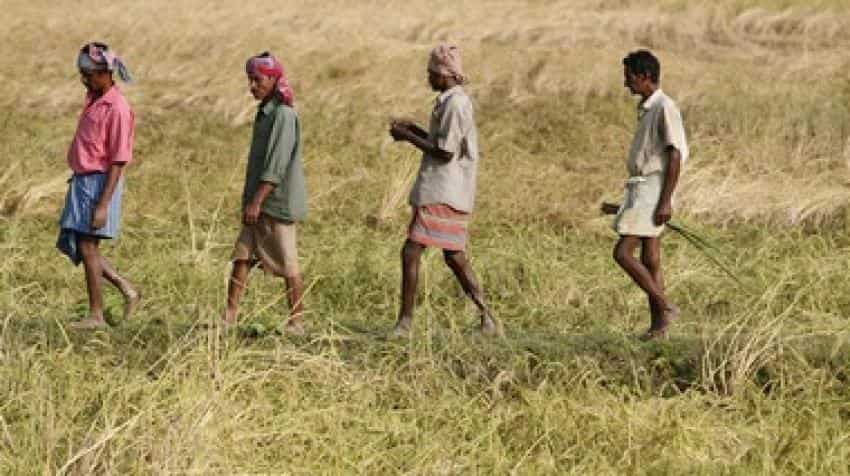 Distressed farmers from Maharashtra knock Supreme Court's doors for relief Distressed farmers from Maharashtra knock Supreme Court's doors for relief