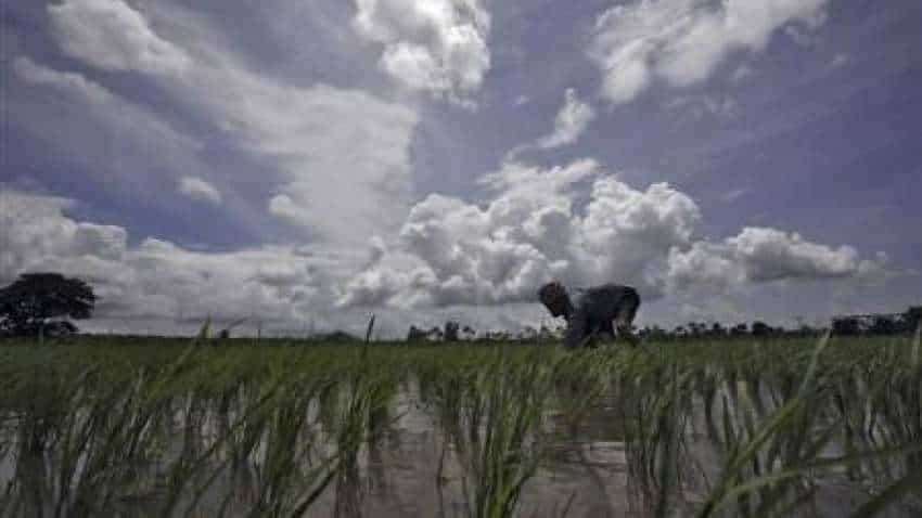 Monsoon covers entire country, 17 days ahead of normal schedule