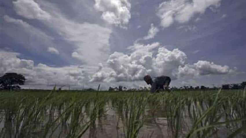 Monsoon covers entire country, 17 days ahead of normal schedule Monsoon covers entire country, 17 days ahead of normal schedule