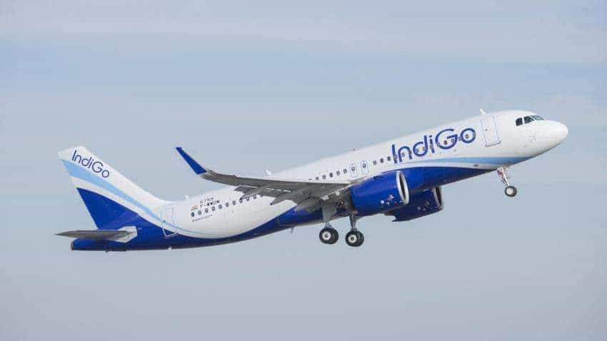 Mumbai rains! Indigo launches ‘Mumbai Alert’ page, says passengers can check their flight status Mumbai rains! Indigo launches ‘Mumbai Alert’ page, says passengers can check their flight status