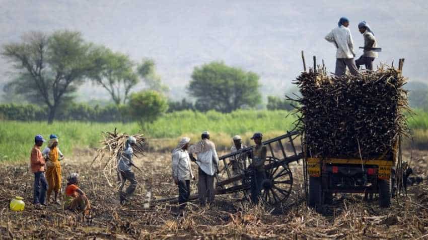 MSP hike to boost farm income, spur growth: Assocham