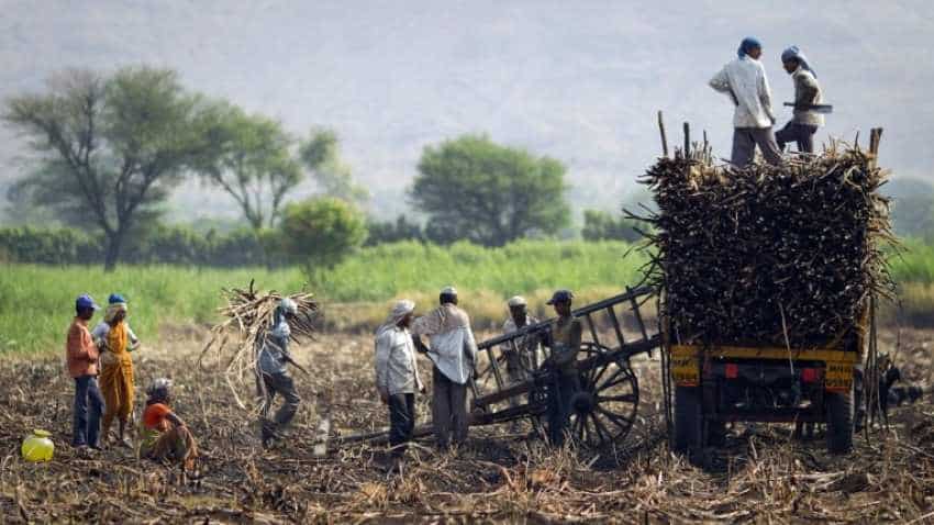 MSP hike to boost farm income, spur growth: Assocham MSP hike to boost farm income, spur growth: Assocham