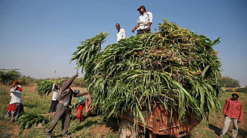 Doubling farmers income: CM panel mulls ways to align works under MGNREGA Doubling farmers income: CM panel mulls ways to align works under MGNREGA
