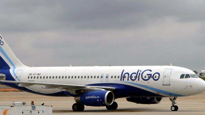 Indigo share price plunges; should you buy? 