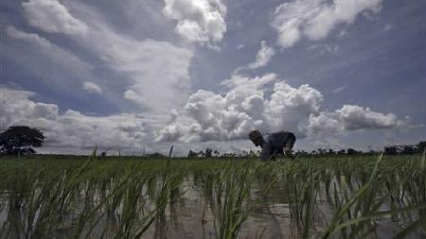Monsoon forecast: IMD may downgrade outlook