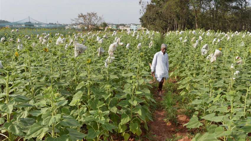 Modi government's doubling farmers' income by 2022 promise can become reality with these steps Modi government's doubling farmers' income by 2022 promise can become reality with these steps