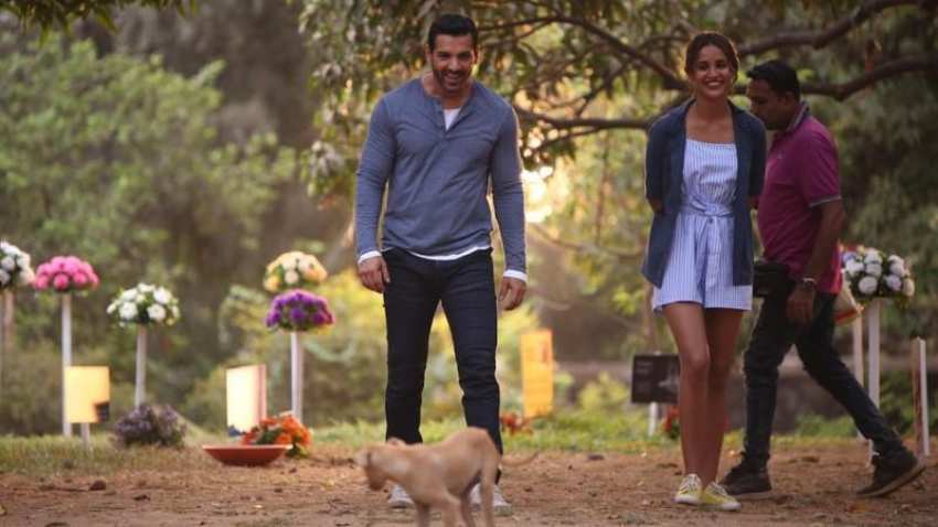 Satyameva Jayate Box Office Collection: John Abraham film earns Rs 84.92 cr Satyameva Jayate Box Office Collection: John Abraham film earns Rs 84.92 cr