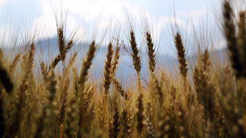 Pradhan Mantri Fasal Bima Yojana tweaked! Good news for farmers, bad for states, insurance companies Pradhan Mantri Fasal Bima Yojana tweaked! Good news for farmers, bad for states, insurance companies