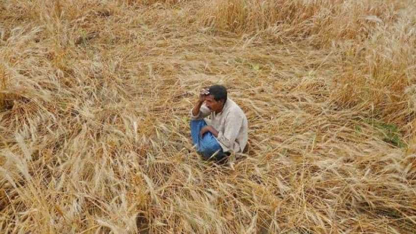 Rural demand to pick up on MSP hikes, farm loan waivers: Report Rural demand to pick up on MSP hikes, farm loan waivers: Report