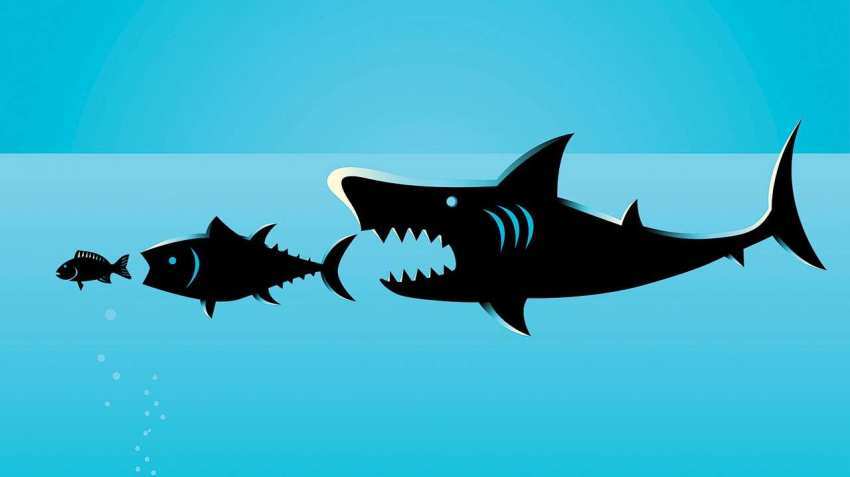 After Ola buys Foodpanda, Swiggy acquires Scootsy, smaller start-ups in India face big threats After Ola buys Foodpanda, Swiggy acquires Scootsy, smaller start-ups in India face big threats