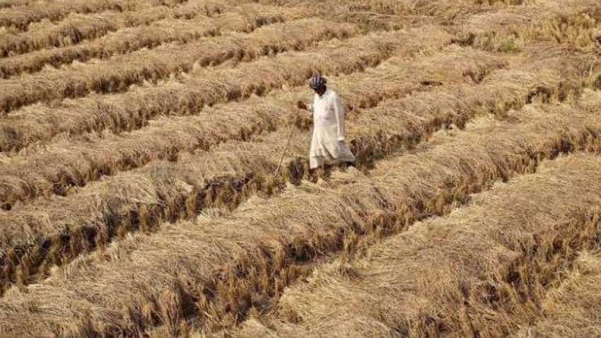 Maharashtra agri task force urges Arun Jaitley for bailout package for farmers