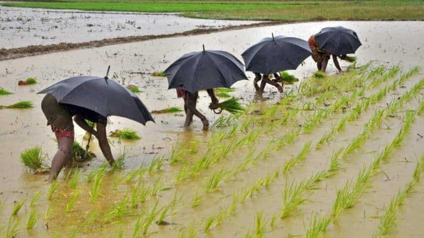 Deficit rainfall in northeastern India, crop production could fall Deficit rainfall in northeastern India, crop production could fall