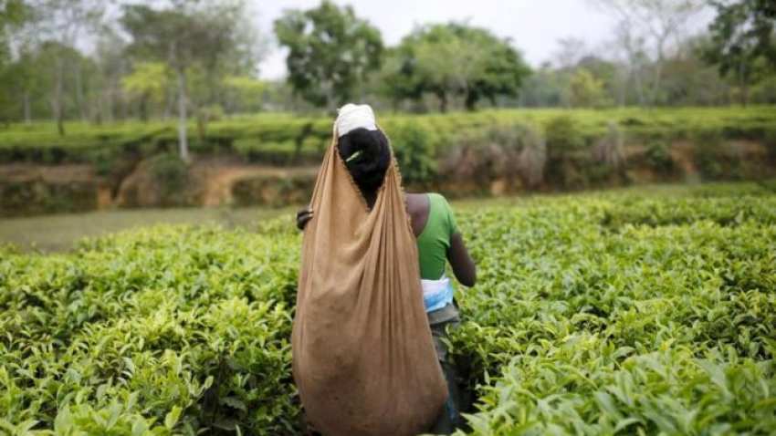 This govt announces bonus for workers; here are details This govt announces bonus for workers; here are details
