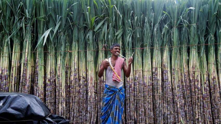 Sugar mills worry over surplus, talk of 'industry collapse' Sugar mills worry over surplus, talk of 'industry collapse'