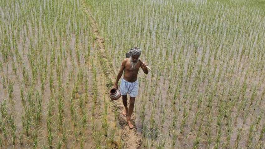 Punjab to give unique number to plots of land to prevent frauds