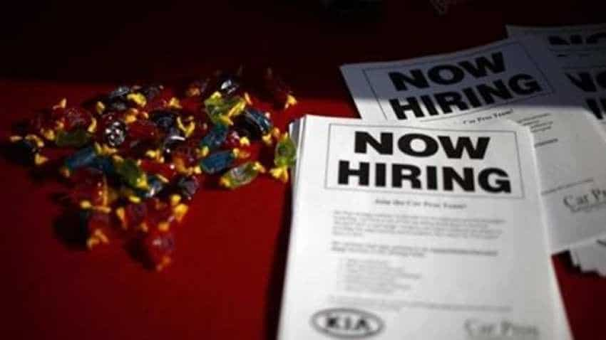 Job crisis in India: Book advises to prepare for short-term work options