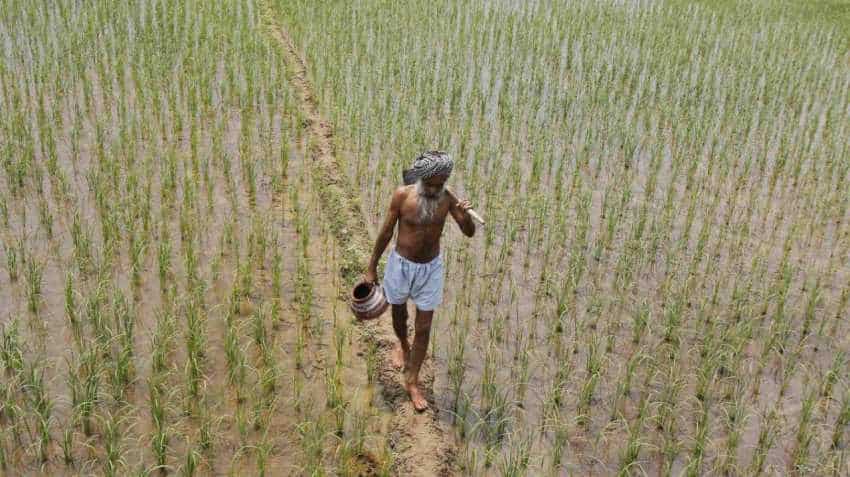 Nearly 35 lakh tonnes paddy procured in Punjab