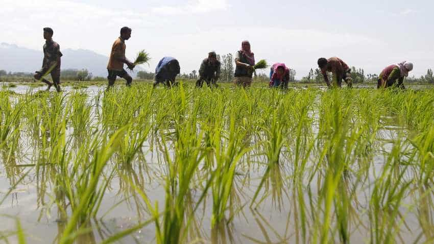 Rabi sowing begins; oilseeds acreage up 70pc so far